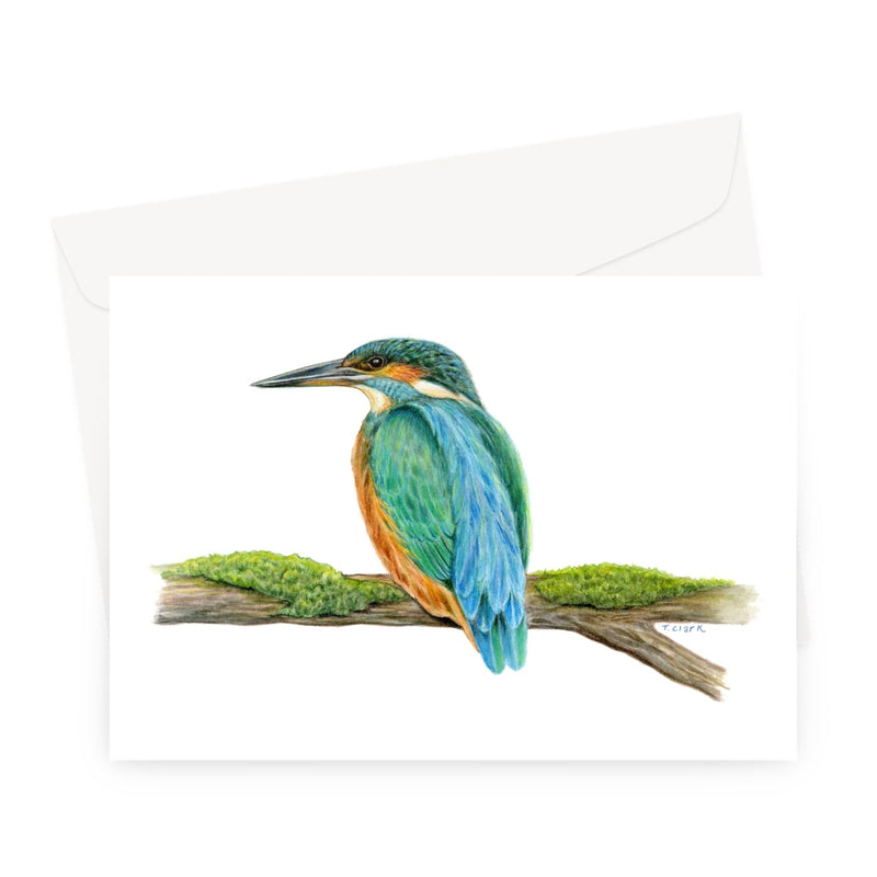 Kingfisher Greeting Card