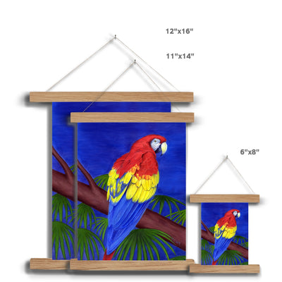 Scarlet Red Macaw Fine Art Print with Hanger