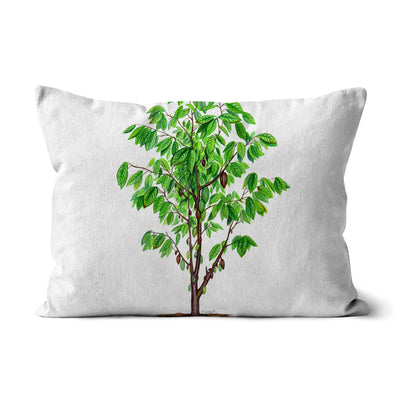 Cacao Tree Cushion