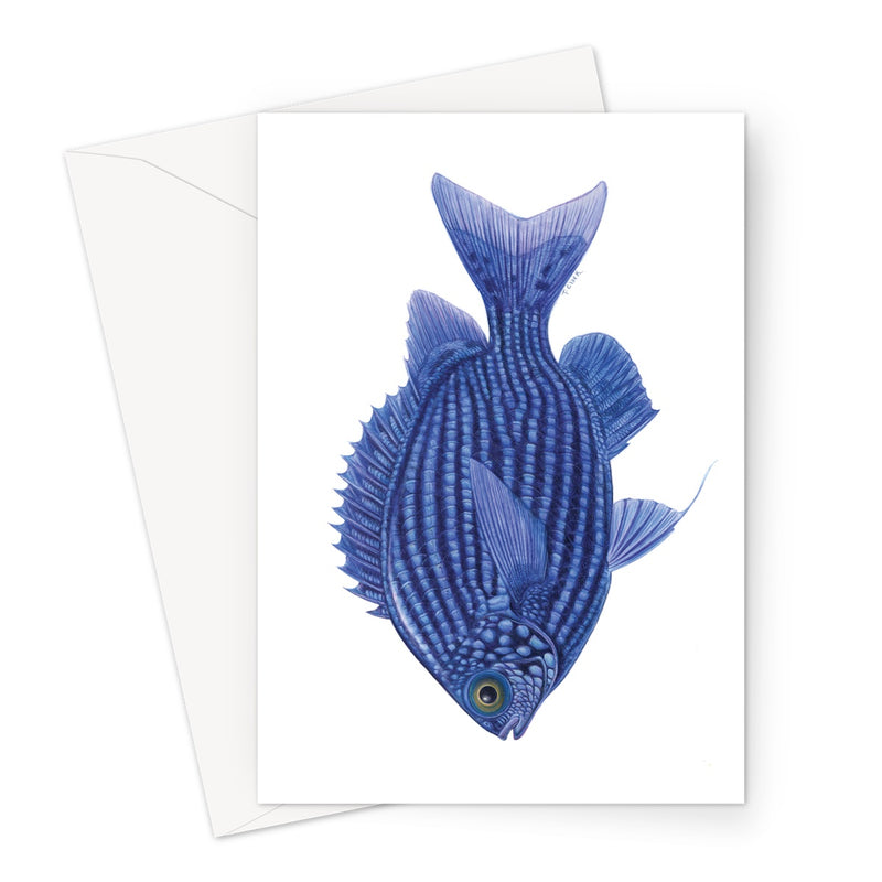 Deep Blue Chromis Greeting Card