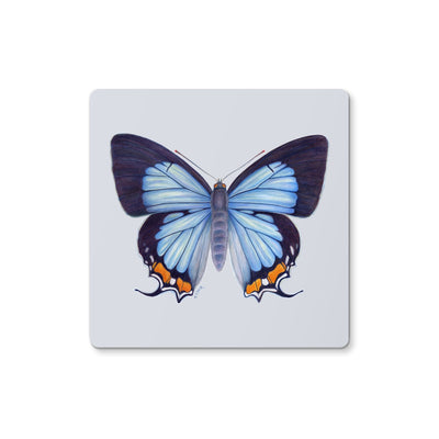 Imperial Blue Butterfly Coaster