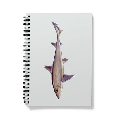 Smooth Dogfish Notebook