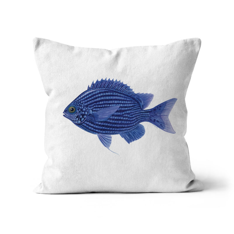 Deep Blue Chromis Cushion