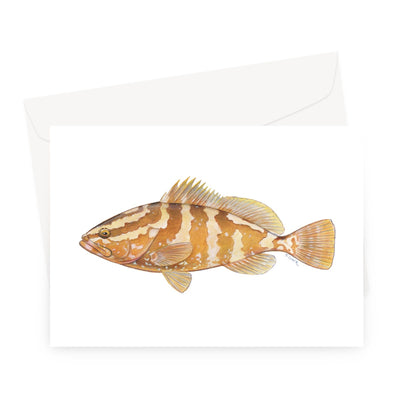 Grouper Greeting Card