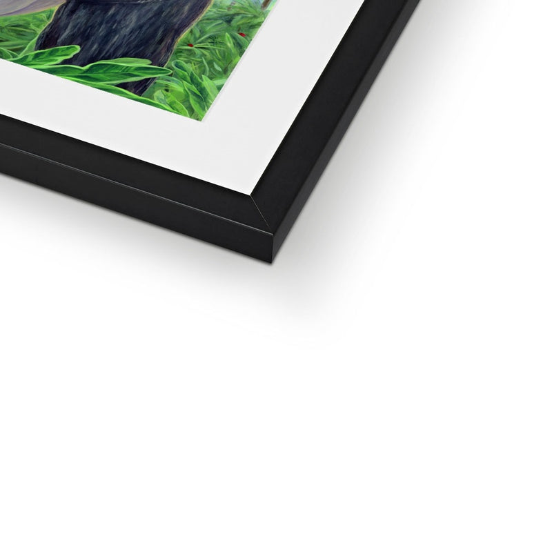 Gorilla gorilla  Framed & Mounted Print