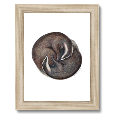 Yin Yang Badgers Framed Print