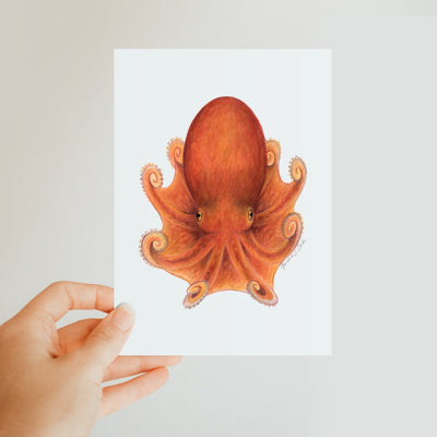 Northern Octopus Classic Postcard