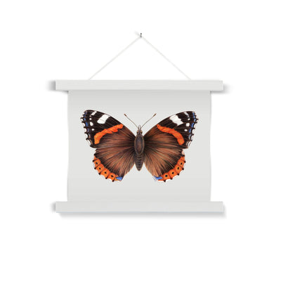 Red Admiral Butterfly Fine Art Print with Hanger