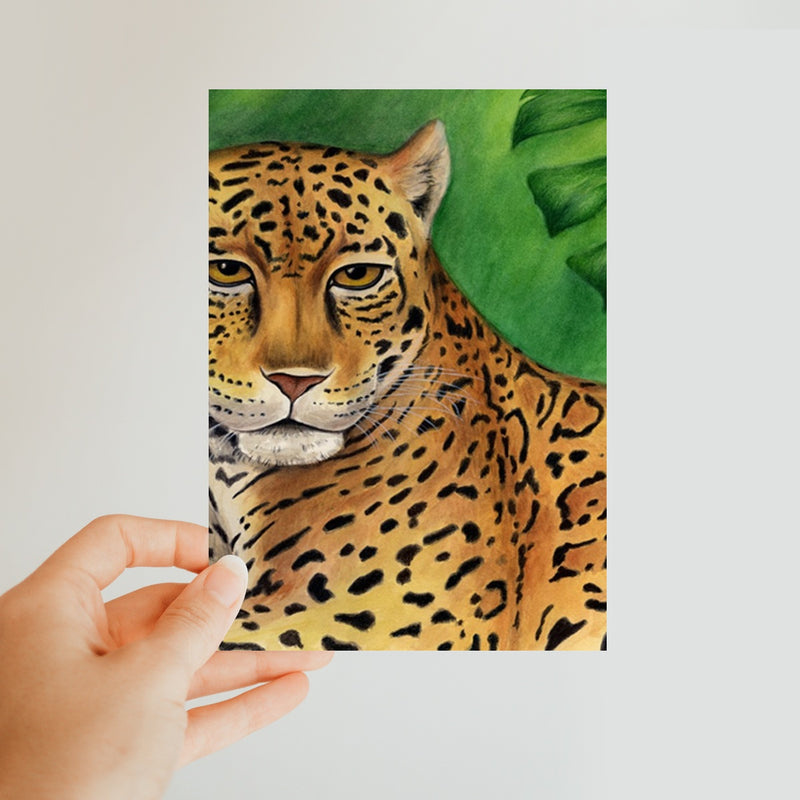 Jaguar Classic Postcard