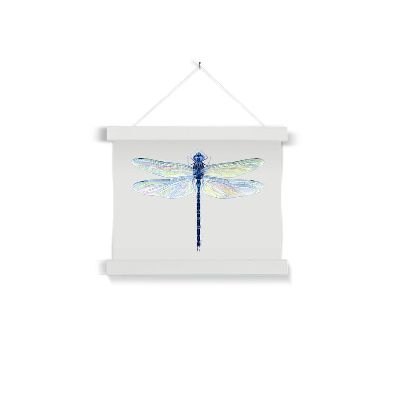 Spatterdock Darner Dragonfly Fine Art Print with Hanger