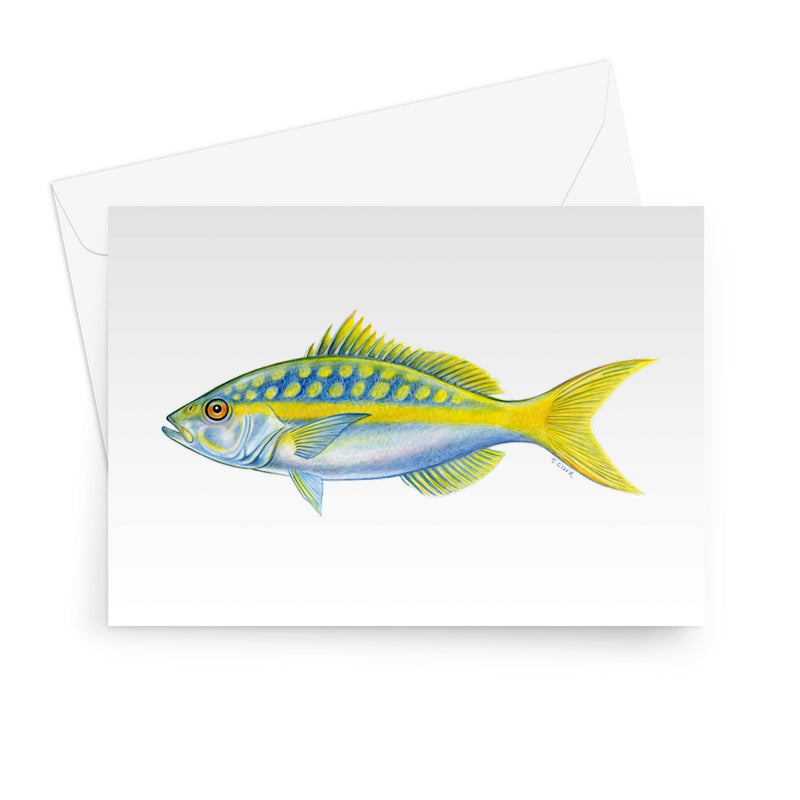 Yellowtail Snapper Greeting Card