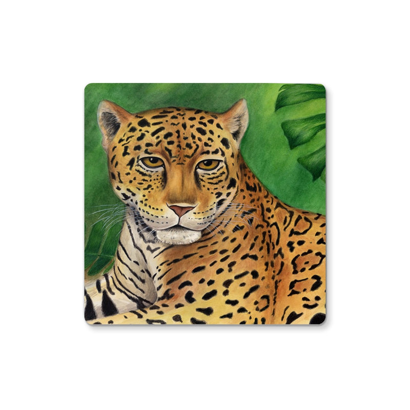 Jaguar Coaster
