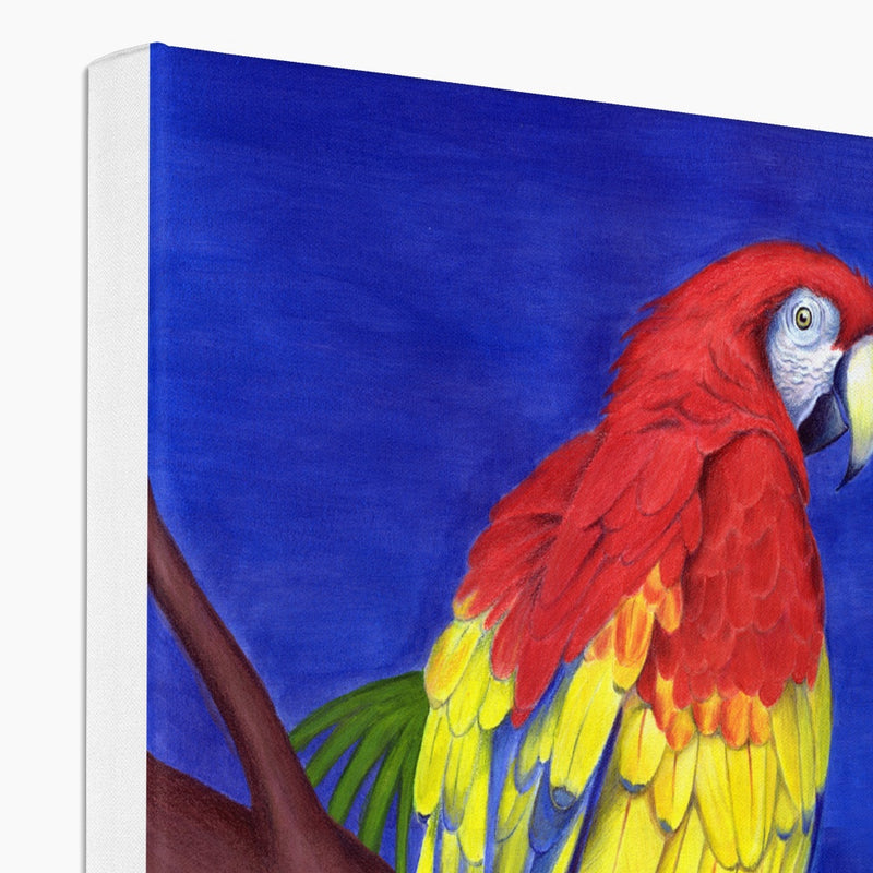 Scarlet Red Macaw Canvas