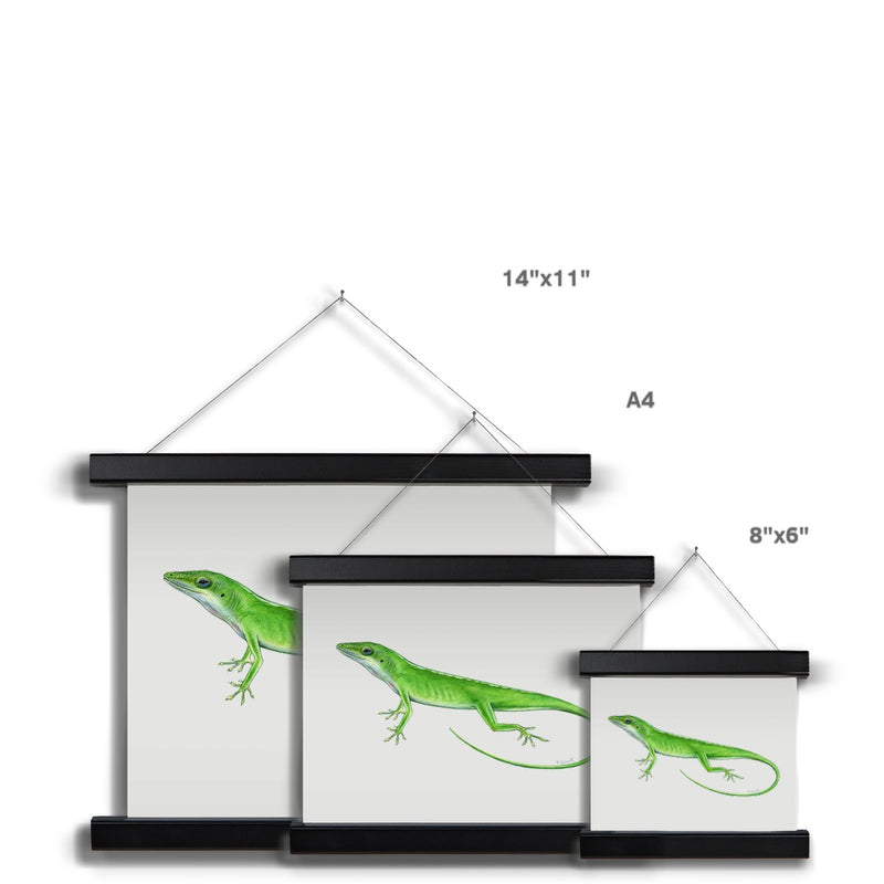 Green Anole Lizard Fine Art Print with Hanger
