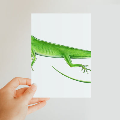 Green Anole Lizard Classic Postcard