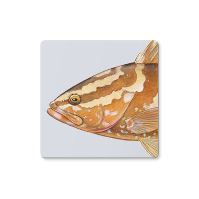 Grouper Coaster