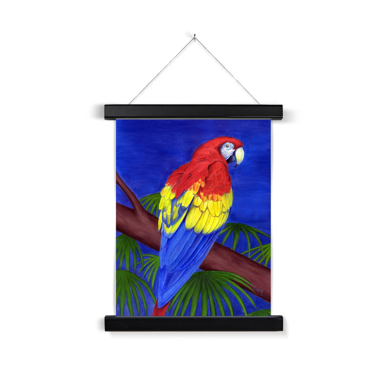 Scarlet Red Macaw Fine Art Print with Hanger