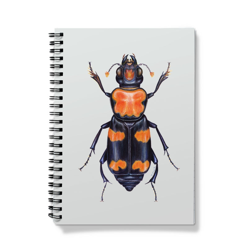 Burying Beetle Notebook