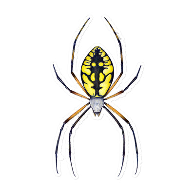 Argiope Spider Sticker