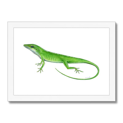Green Anole Lizard Framed Print