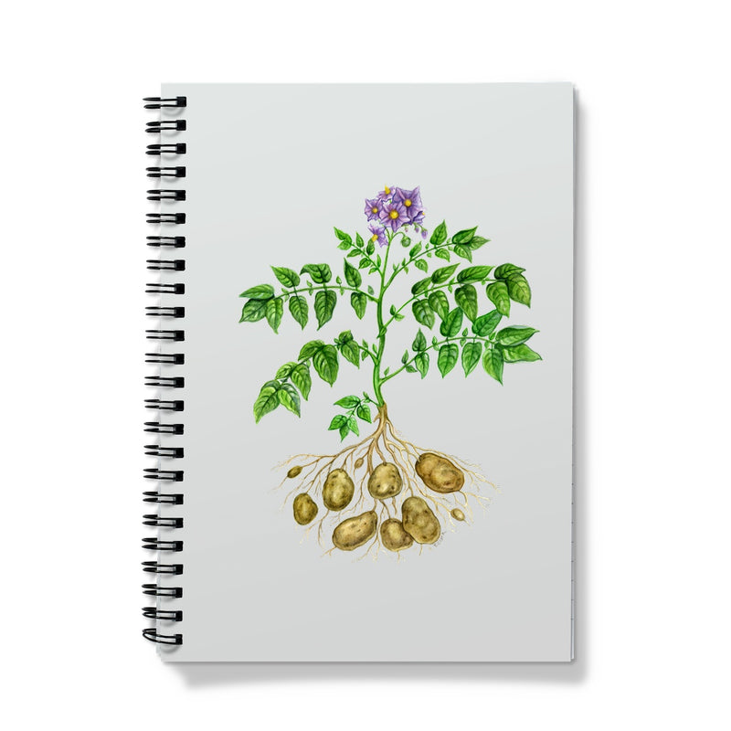 Potato  Notebook