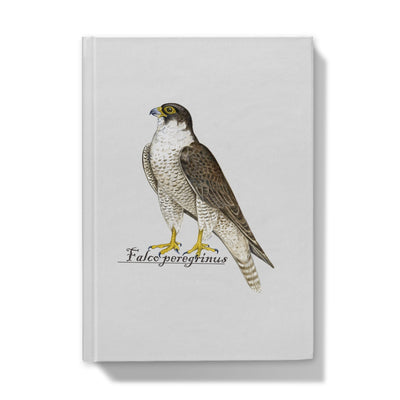 Peregrine Falcon Hardback Journal