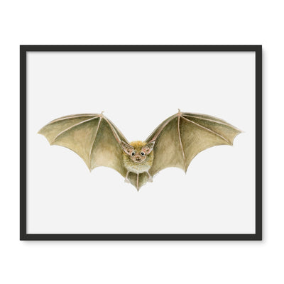 Daubenten's Bat Framed Photo Tile