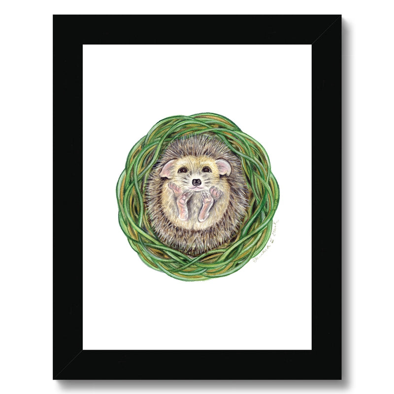 Hedgehog  Framed Print