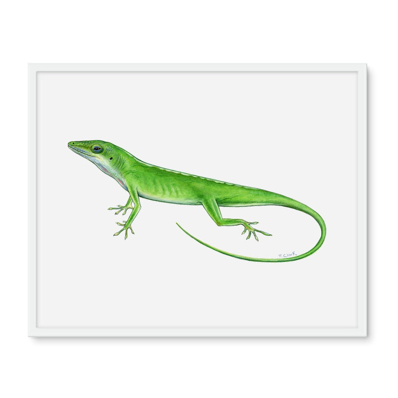 Green Anole Lizard Framed Photo Tile