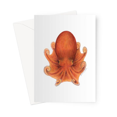 Northern Octopus Greeting Card