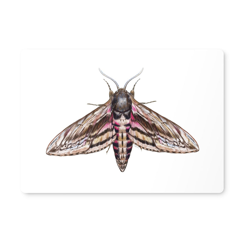 Hawkmoth Placemat