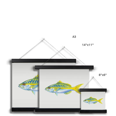 Yellowtail Snapper Fine Art Print with Hanger