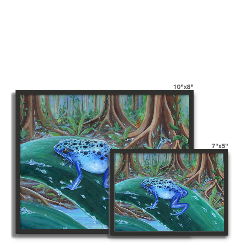 Blue Poison Dart Frog Framed Photo Tile