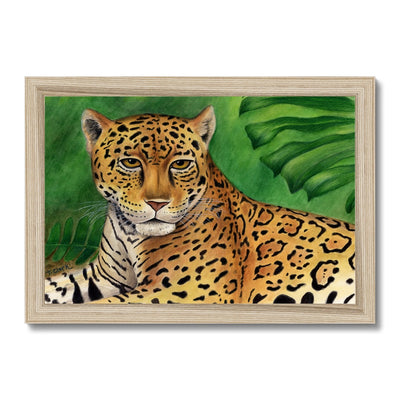 Jaguar Framed Print