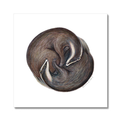 Yin Yang Badgers Fine Art Print