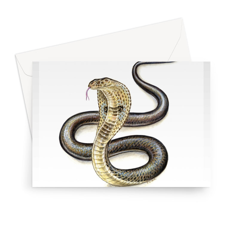 Indian Cobra Greeting Card