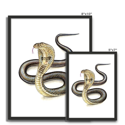 Indian Cobra Framed Photo Tile