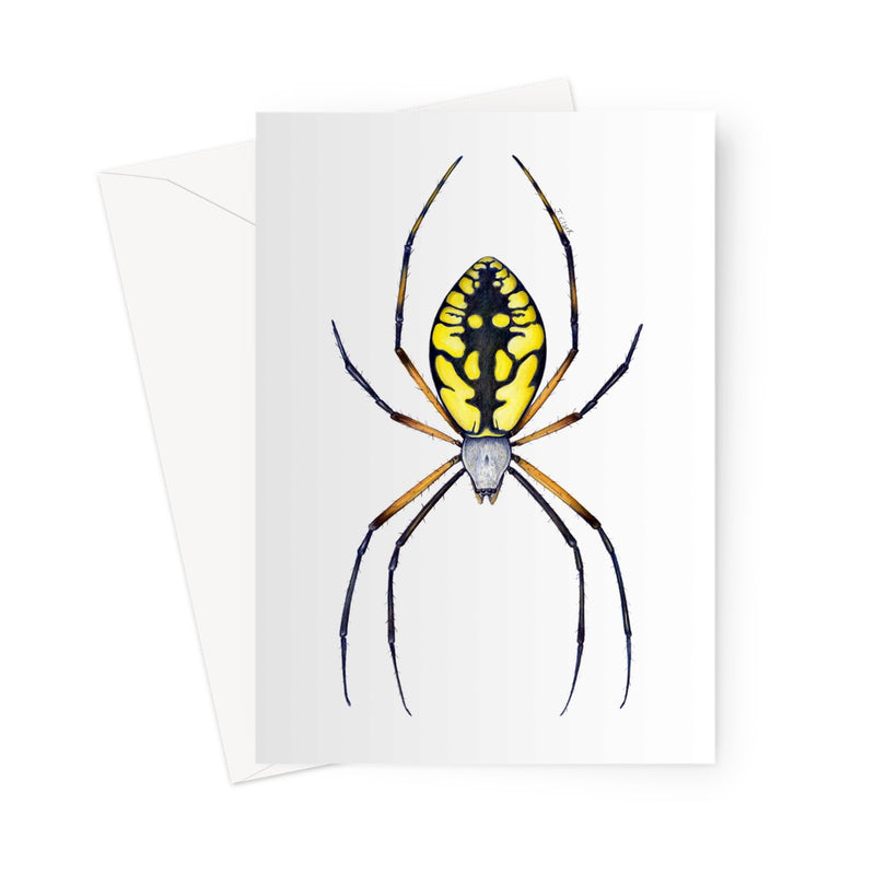 Argiope Spider Greeting Card