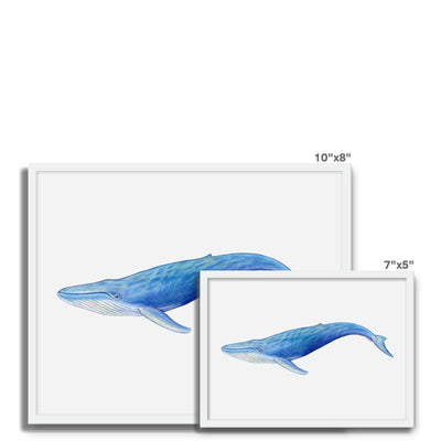 Blue Whale Framed Photo Tile