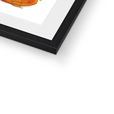Red Spotted Newt Framed & Mounted Print