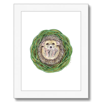 Hedgehog  Framed Print