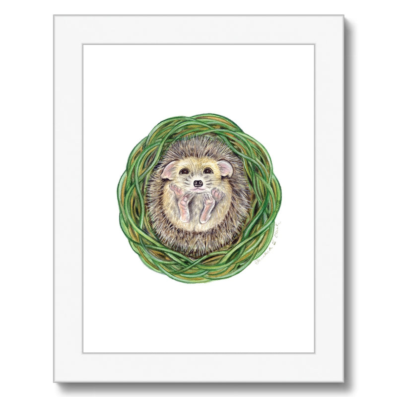 Hedgehog  Framed Print