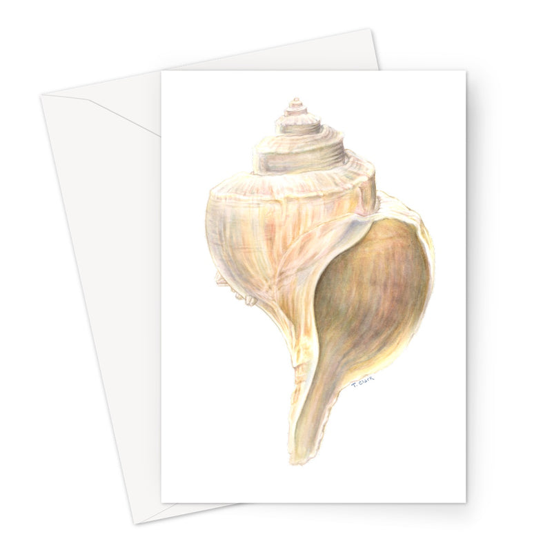 Whelk Greeting Card