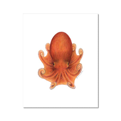 Northern Octopus Hahnemühle German Etching Print