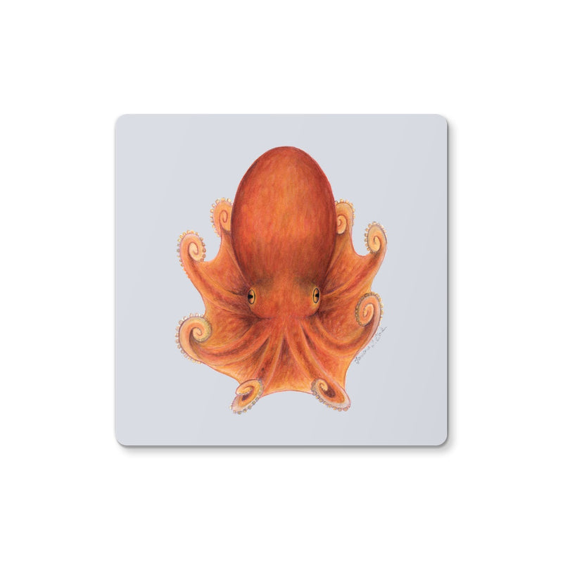 Northern Octopus Coaster