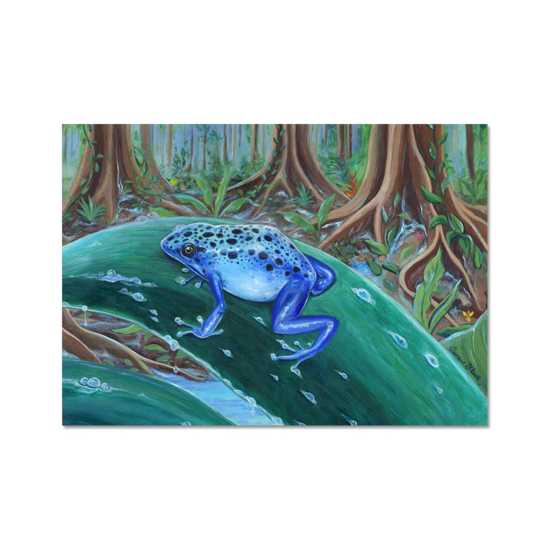 Blue Poison Dart Frog Hahnemühle German Etching Print