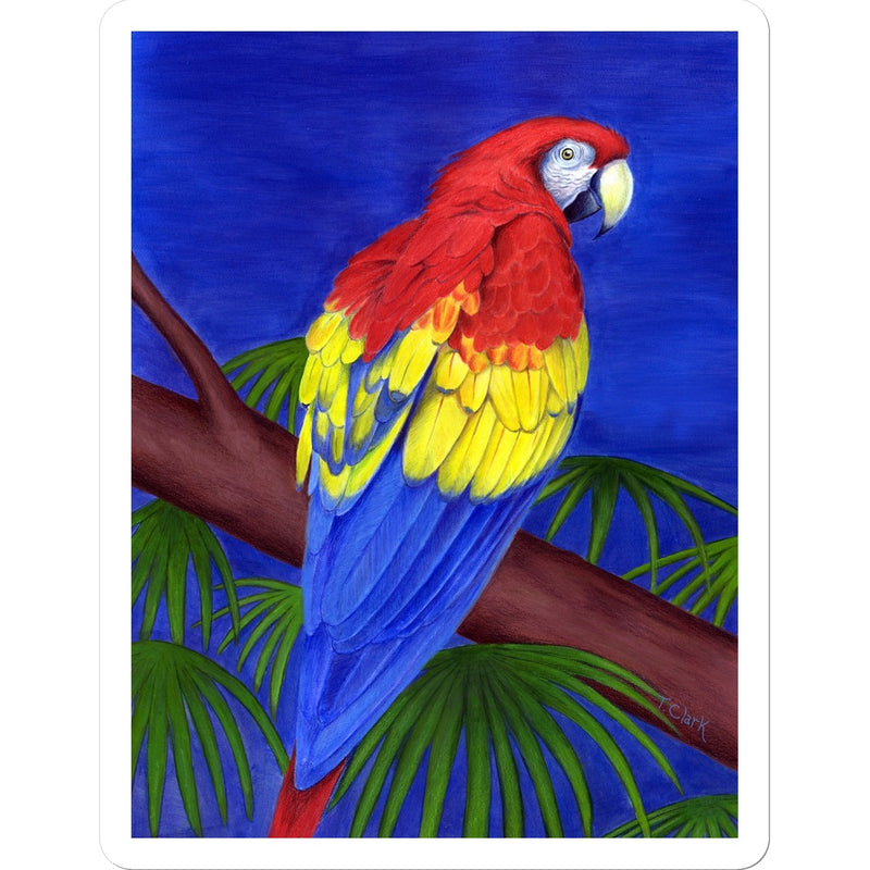 Scarlet Red Macaw Sticker