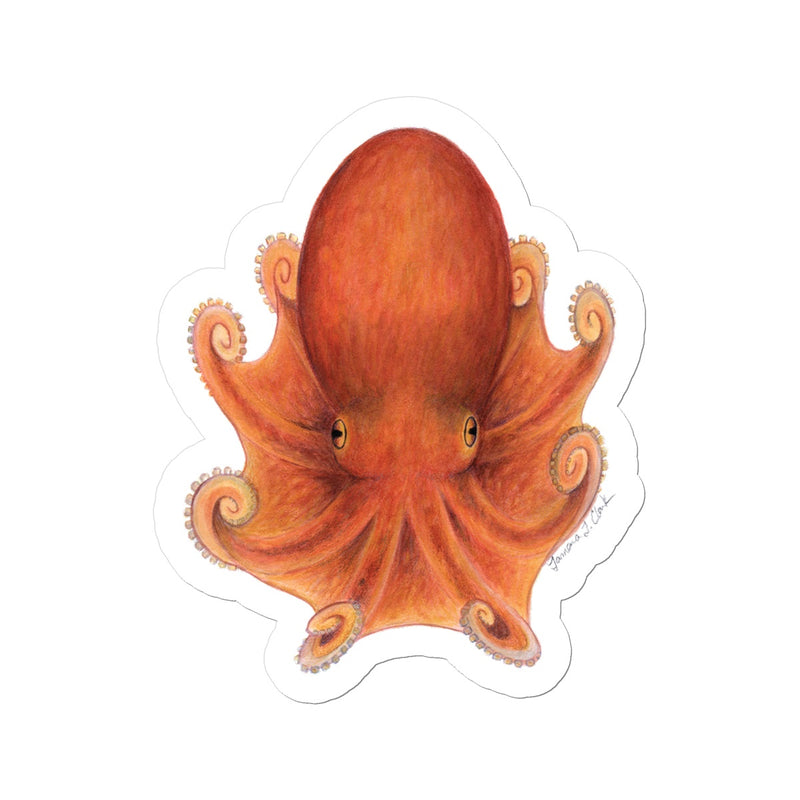 Northern Octopus Sticker