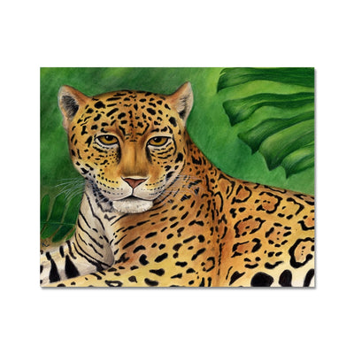 Jaguar Hahnemühle German Etching Print