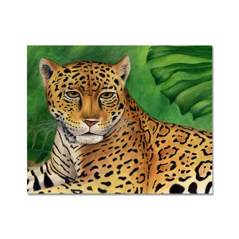 Jaguar Hahnemühle German Etching Print